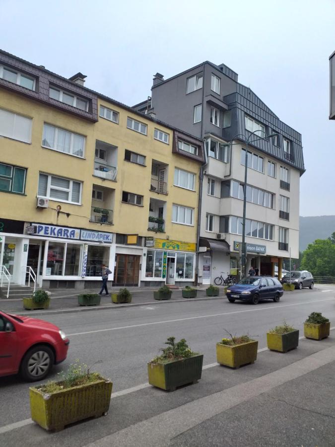 Trosoban Apartman Sarajevo, Ilidza Centar Dış mekan fotoğraf